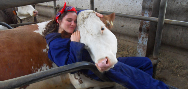 Op de boerderij door middel van koe knuffelen of een creatieve workshop, dàt doe je bij De Koel'nbekke!